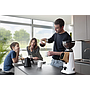 Fiorenzato All Ground Grinder - White & Walnut